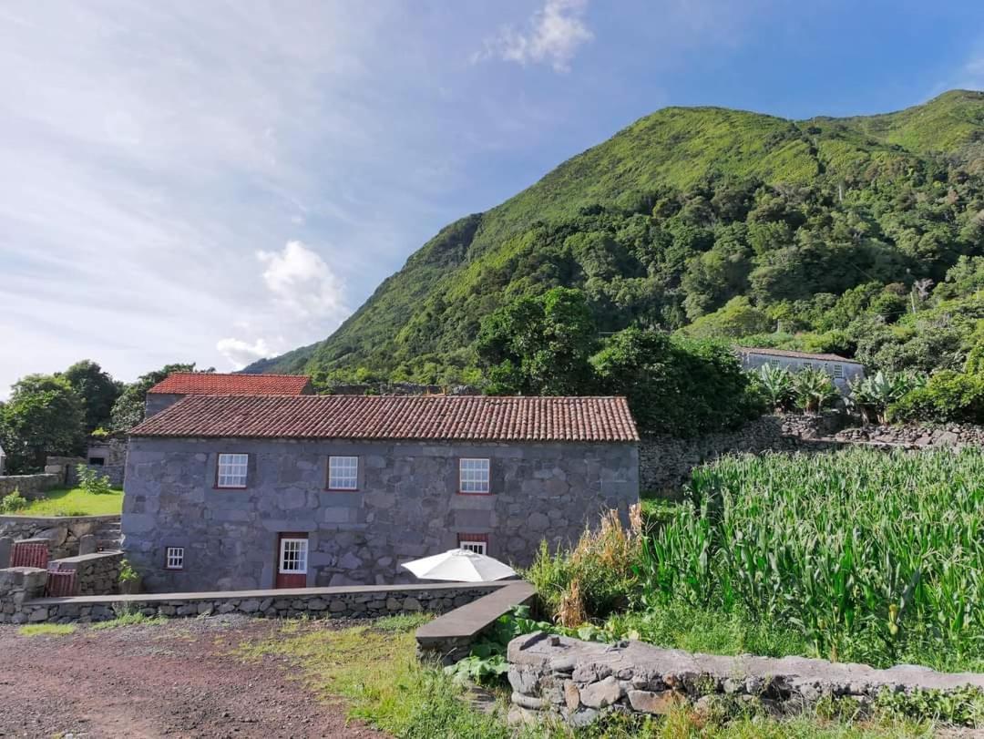 Casas Dos Vimes Villa Faja dos Vimes Eksteriør billede